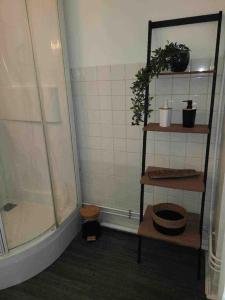 Appartements AppartStudio « You & Me in Champagne » : photos des chambres