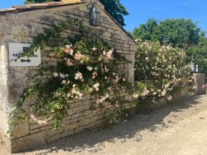 Maisons d'hotes Le Domaine de la Gravette : photos des chambres