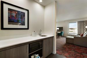 King Studio Suite - Non Smoking room in Hampton Inn & Suites St. Louis/Alton IL