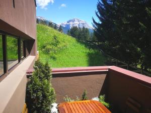 Luce Delle Dolomiti con navetta e sala giochi