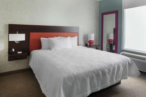 Premium One-Bedroom King Suite - Non-Smoking room in Home2 Suites By Hilton Louisville Airport Expo Center