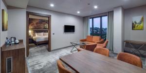 One-Bedroom King Suite room in Hilton Garden Inn Yalova