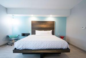 King Room with Roll-In Shower - Mobility Access room in Tru by Hilton Lafayette River Ranch