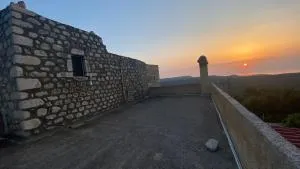 Terra Petra Mani - Psíon