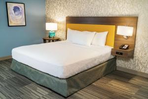 King Studio Suite - Non-Smoking room in Home2 Suites By Hilton San Antonio At The Rim Tx