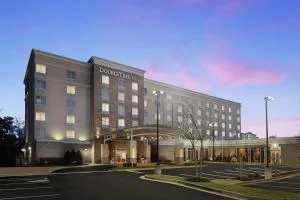 DoubleTree Richmond Airport - 桑兹顿