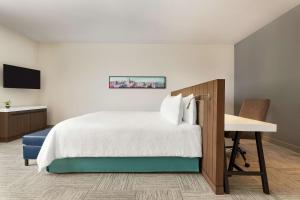Deluxe King Room room in Hilton Garden Inn Seattle Airport