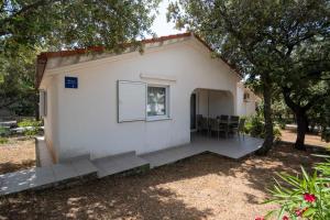 Apartments with a parking space Mandre, Pag - 16836 