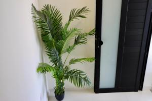 Caretta Beach Destino