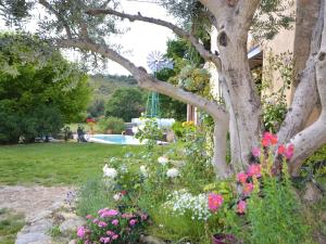 Maisons de vacances Nice appartment in Malauc ne with Private Swimming Pool : photos des chambres