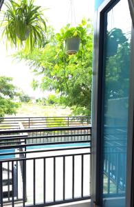 GREEN TOWN hotel HỘI AN