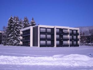 Autrans: Appartement cosy, proche pistes, balcon & parking, 3 pers - FR-1-737-40