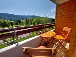 Appartement 2 pièces avec balcon à Autrans, proche village et pistes de ski, 4 pers, 32 m² - FR-1-737-50 - 瑟伊辛斯