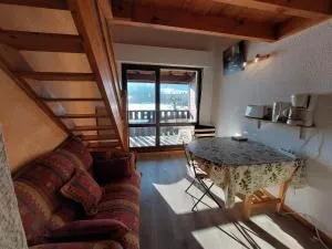 Charmant appartement avec balcon exposé sud, à 450m du centre et des pistes de fond – Autrans. - FR-1-737-56 - 瑟伊辛斯