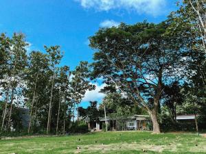 บ้านภัทร์จรัส น่าน - Baan Patjarad Nan