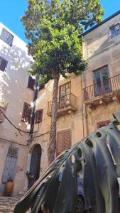 Affittacamere Garibaldi