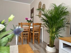 Apartament Sea Nest Brzeźno, blisko morza