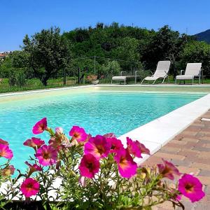 Agriturismo "Veritas" bed & Wine