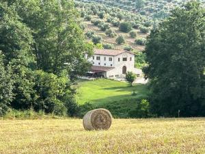 L’Antica Tenuta