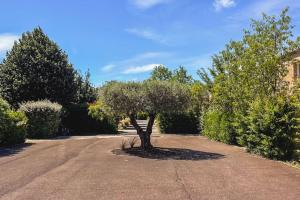 Maisons de vacances Maison en Provence - Les Bastidons du Ventoux : photos des chambres