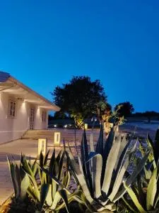 Terre di Sveva - كاستل دل مونتي