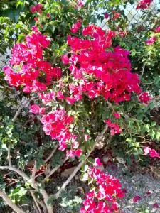 Matoula House - Áyios Yeóryios