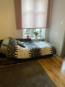 Apartamenty Olsztynek centrum tel 5 0 9 9 1 3 9 3 7