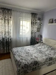 Cosy apartment-private parking - Hrelići