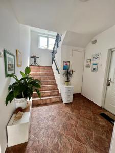 Milinovic apartmani3