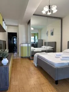 Studios Copou IRO Parhon - Aroneanu