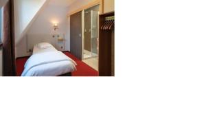 Hotels Hotel Le Verger De Bischwiller : Chambre Simple Standard avec Douche