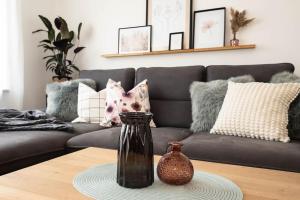 Luxury Apartment on the Rhein