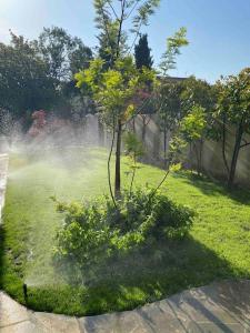 Villas Belle villa typique du sud avec grande piscine : photos des chambres