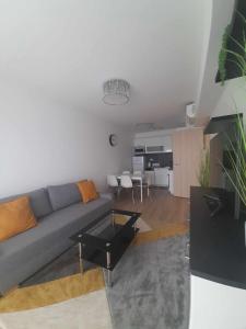 Silver Side Apartments