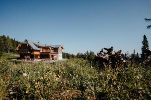 Chalet Knappenhütte