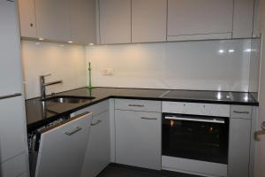 Residenza Lagrev 2 Zimmerwohnung - Nr 002 - Typ 21A - Hochparterre - Süd West