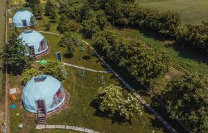 Glamping Stacja Zieleniec w Nałęczowie