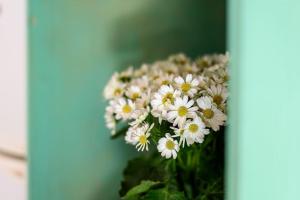 [Sorrento Coast] Villa with garden Il Glicine