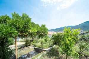 Appartements Evasion Ceret - Appt champetre proche centre-ville : photos des chambres