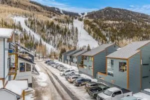 Boomerang 11 - Boomerang Haus - Telluride