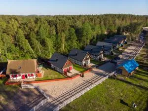 KOCANKA Domek w lesie, przy jeziorze w Kaszubskiej Wenecji, na Gwizdówce - Łyśniewo