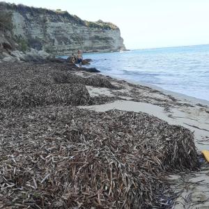 Casa Primula - Family Country House immersa nel verde a 5 min dal Mare