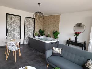 Appartements Evasion avec jacuzzi interieur : photos des chambres