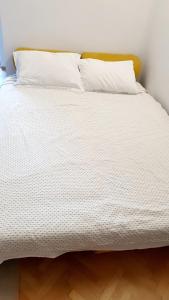 Studio Prisaca Dornei