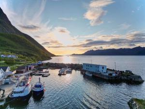 Senja Living