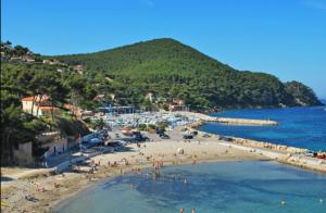 Appartements Magnifique studio vue mer a 5 minutes de la plage : photos des chambres