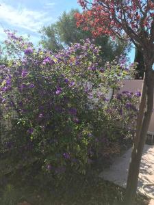 Maisons de vacances Sainte Marie la mer : Villa independante, plage a pied a 250 m : photos des chambres