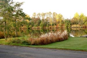 Liftlock Guest House
