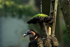 Nunspeet Vakantiehuisje