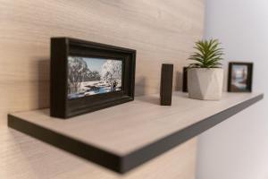 Heart of the City 2-Bedroom Apartment